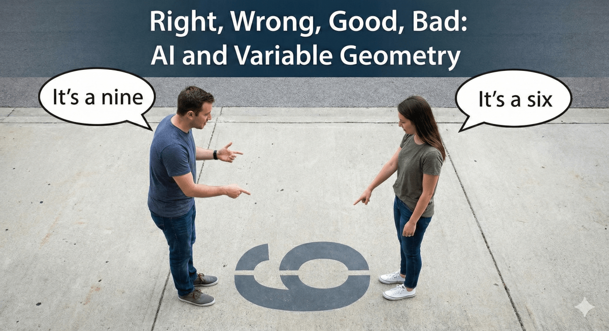 Right, Wrong, Good, Bad, AI and Variable&nbsp;Geometry